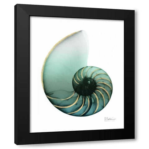 Shimmering Snail 4 Black Modern Wood Framed Art Print with Double Matting by Koetsier, Albert