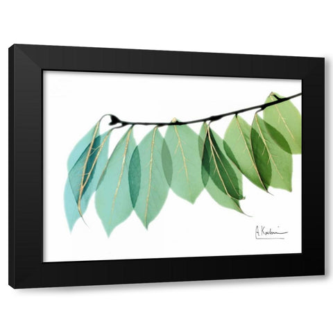 Golden Camelia Leaf Black Modern Wood Framed Art Print with Double Matting by Koetsier, Albert