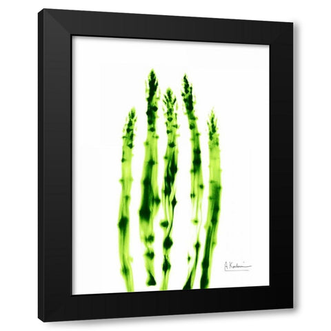 Asparagus Stock Black Modern Wood Framed Art Print with Double Matting by Koetsier, Albert