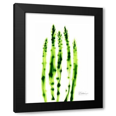 Asparagus Stock Black Modern Wood Framed Art Print by Koetsier, Albert