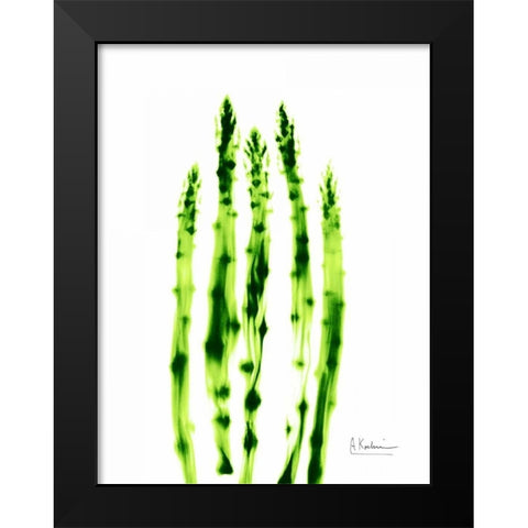 Asparagus Stock Black Modern Wood Framed Art Print by Koetsier, Albert