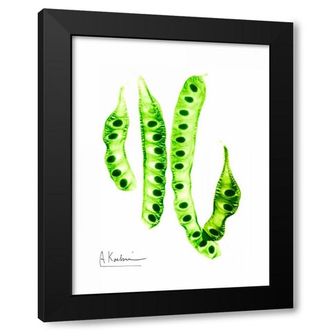 Carob Formation Black Modern Wood Framed Art Print by Koetsier, Albert