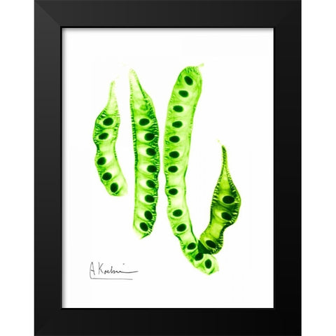 Carob Formation Black Modern Wood Framed Art Print by Koetsier, Albert