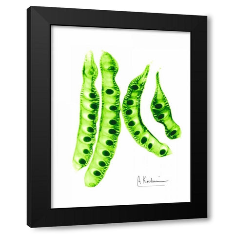 Carob Formation 2 Black Modern Wood Framed Art Print with Double Matting by Koetsier, Albert