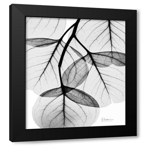 Silver Age Eucalyptus Black Modern Wood Framed Art Print with Double Matting by Koetsier, Albert