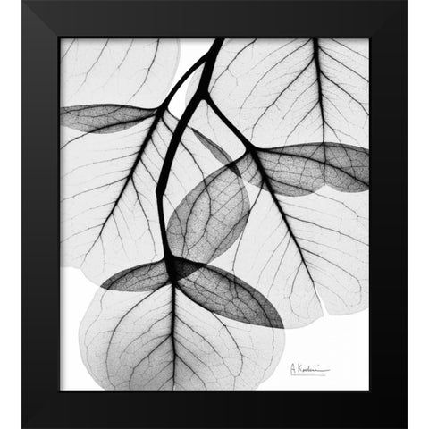 Silver Age Eucalyptus Black Modern Wood Framed Art Print by Koetsier, Albert