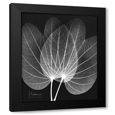 Extravagant Orchid Tree Black Modern Wood Framed Art Print with Double Matting by Koetsier, Albert