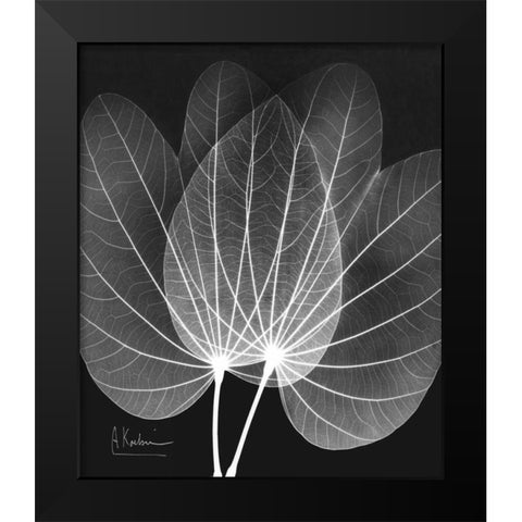 Extravagant Orchid Tree Black Modern Wood Framed Art Print by Koetsier, Albert