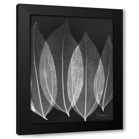 Extravagant Bo Tree Black Modern Wood Framed Art Print with Double Matting by Koetsier, Albert