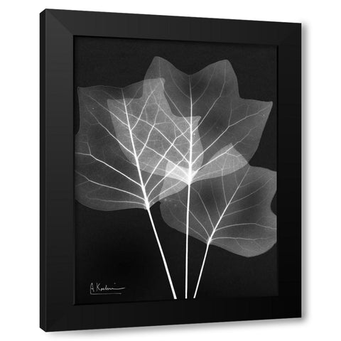 Extravagant Tulip Tree Black Modern Wood Framed Art Print with Double Matting by Koetsier, Albert