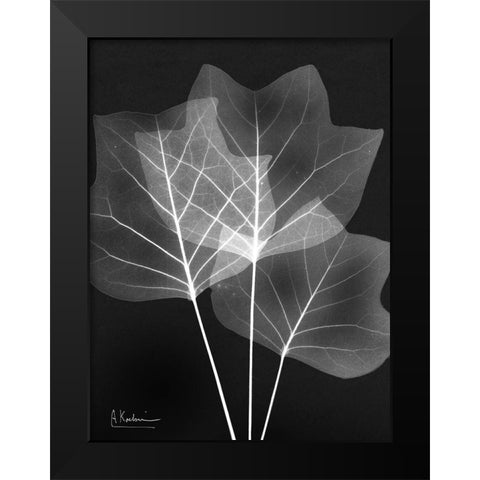 Extravagant Tulip Tree Black Modern Wood Framed Art Print by Koetsier, Albert