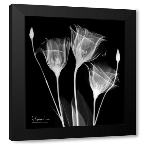 Gentle Gentian Black Modern Wood Framed Art Print with Double Matting by Koetsier, Albert