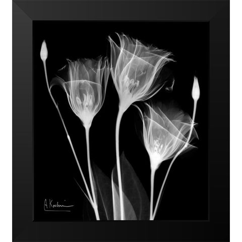 Gentle Gentian Black Modern Wood Framed Art Print by Koetsier, Albert