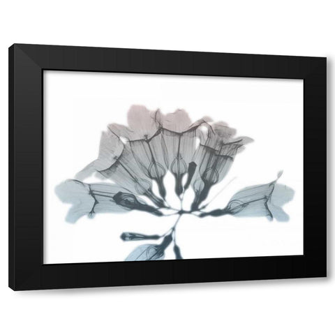 Blooming Jacaranoa Black Modern Wood Framed Art Print with Double Matting by Koetsier, Albert