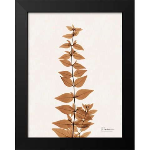 Aged Abelia Black Modern Wood Framed Art Print by Koetsier, Albert