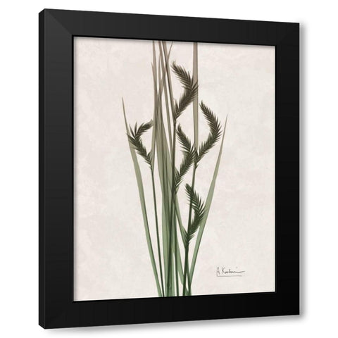 Aged Oat Grass Black Modern Wood Framed Art Print with Double Matting by Koetsier, Albert