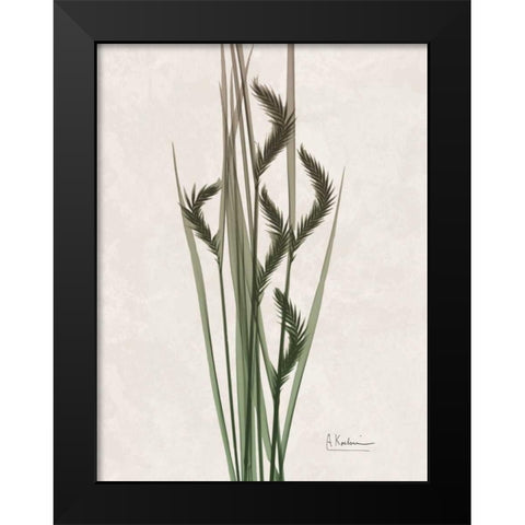 Aged Oat Grass Black Modern Wood Framed Art Print by Koetsier, Albert