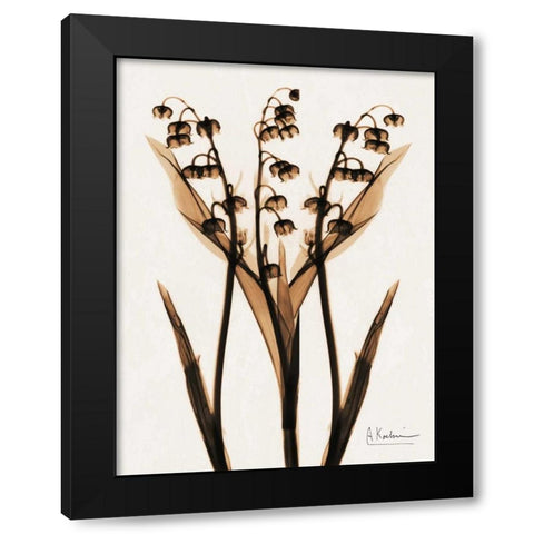 ged Lily Of The Valley Black Modern Wood Framed Art Print with Double Matting by Koetsier, Albert