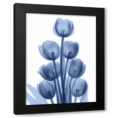Indigo Spring Tulips Black Modern Wood Framed Art Print by Koetsier, Albert