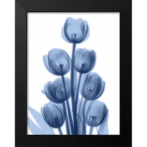 Indigo Spring Tulips Black Modern Wood Framed Art Print by Koetsier, Albert