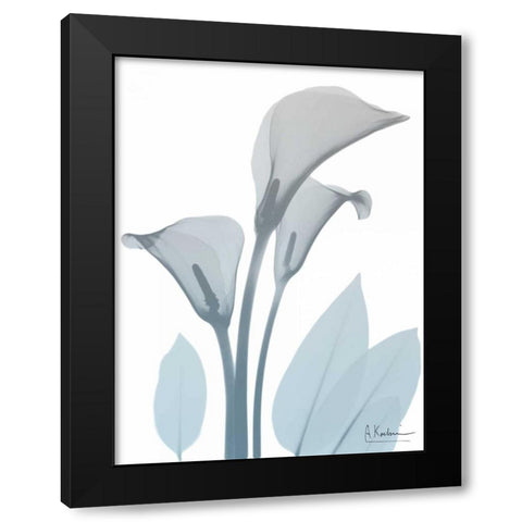 Serene Calla Lily Black Modern Wood Framed Art Print by Koetsier, Albert