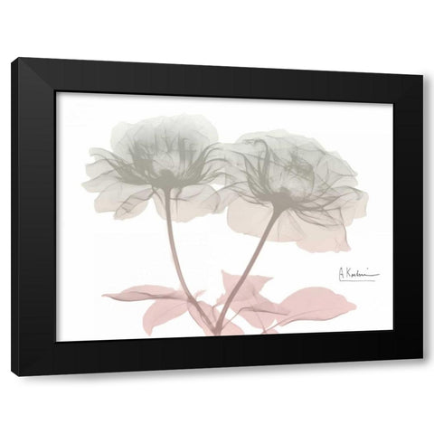 Serenity Double Rose Black Modern Wood Framed Art Print by Koetsier, Albert