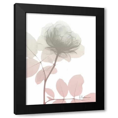 Serenity Rose Black Modern Wood Framed Art Print by Koetsier, Albert