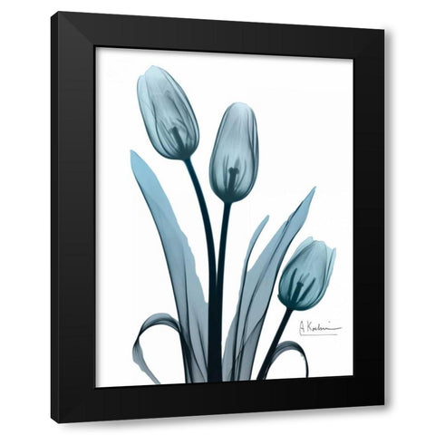 Midnight Sky Tulip Trio Black Modern Wood Framed Art Print by Koetsier, Albert