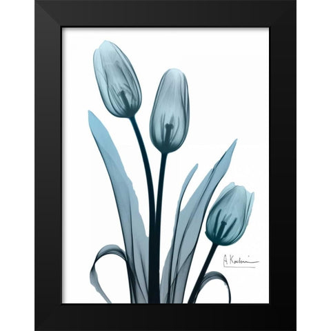 Midnight Sky Tulip Trio Black Modern Wood Framed Art Print by Koetsier, Albert