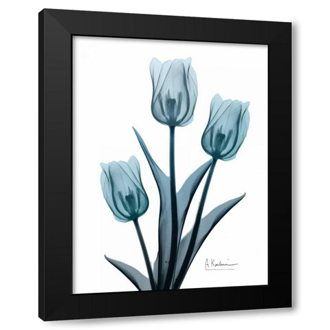 Midnight Sky Tulip Trio 2 Black Modern Wood Framed Art Print with Double Matting by Koetsier, Albert