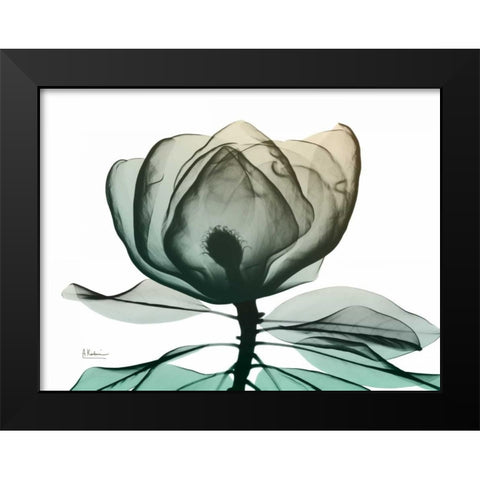 Emerald Magnolia 1 Black Modern Wood Framed Art Print by Koetsier, Albert