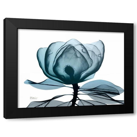 Midnight Magnolia 1 Black Modern Wood Framed Art Print with Double Matting by Koetsier, Albert