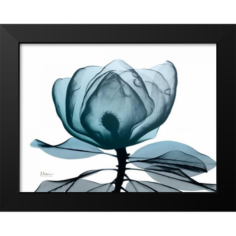 Midnight Magnolia 1 Black Modern Wood Framed Art Print by Koetsier, Albert