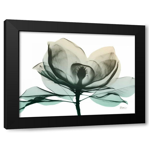 Emerald Magnolia 2 Black Modern Wood Framed Art Print with Double Matting by Koetsier, Albert