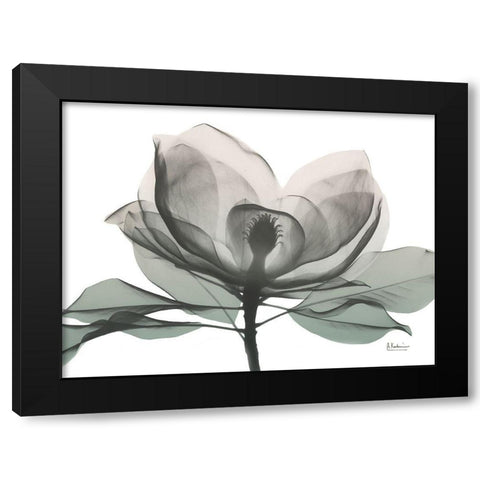 Sage Magnolia 1 Black Modern Wood Framed Art Print with Double Matting by Koetsier, Albert