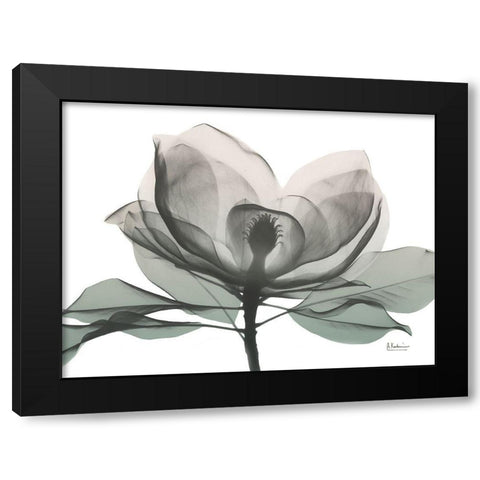 Sage Magnolia 1 Black Modern Wood Framed Art Print by Koetsier, Albert