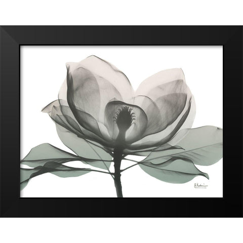 Sage Magnolia 1 Black Modern Wood Framed Art Print by Koetsier, Albert