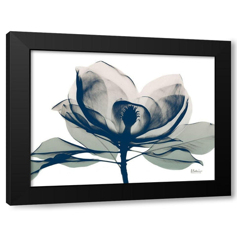 Blue Ranged Magnolia 1 Black Modern Wood Framed Art Print by Koetsier, Albert