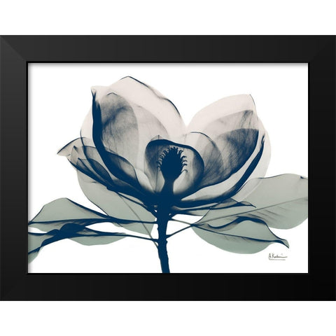Blue Ranged Magnolia 1 Black Modern Wood Framed Art Print by Koetsier, Albert