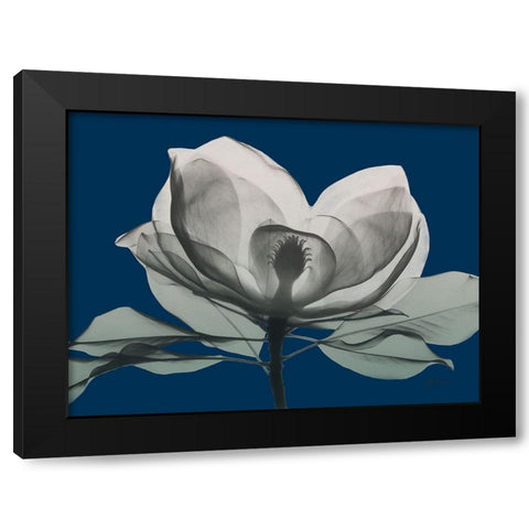 Navy Magnolia 1 Black Modern Wood Framed Art Print with Double Matting by Koetsier, Albert