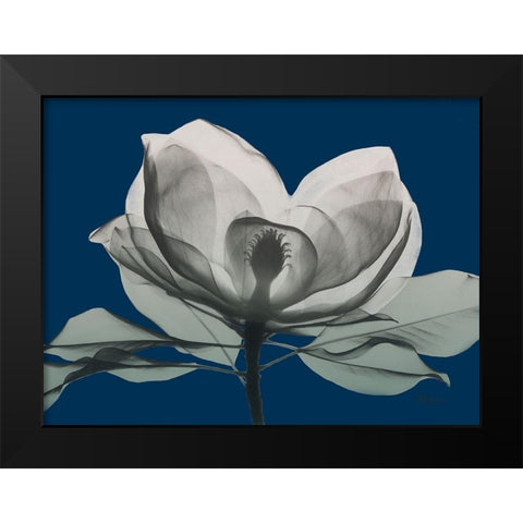 Navy Magnolia 1 Black Modern Wood Framed Art Print by Koetsier, Albert