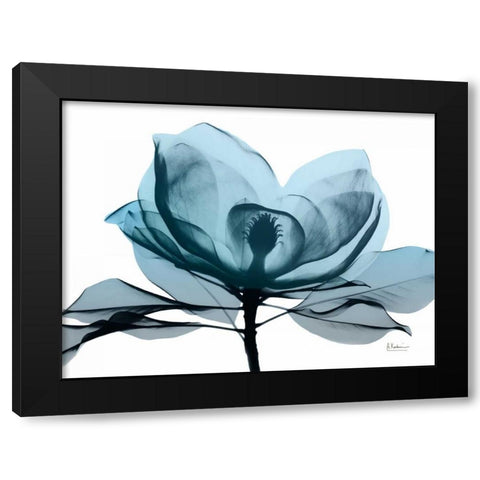 Midnight Magnolia 2 Black Modern Wood Framed Art Print with Double Matting by Koetsier, Albert