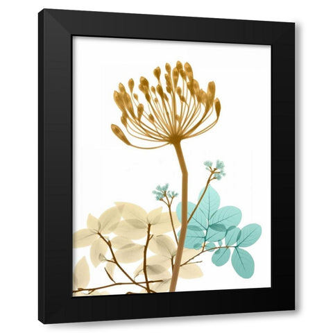 Desert Bloom 2 Black Modern Wood Framed Art Print with Double Matting by Koetsier, Albert