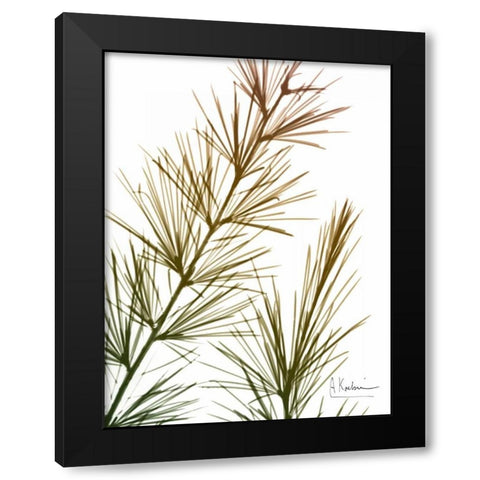 Autumn Sequoia Black Modern Wood Framed Art Print with Double Matting by Koetsier, Albert