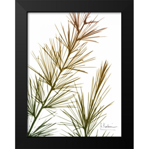 Autumn Sequoia Black Modern Wood Framed Art Print by Koetsier, Albert