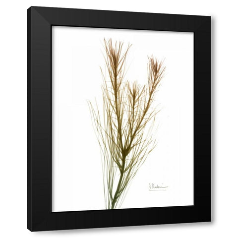 Autumn Botanical Black Modern Wood Framed Art Print by Koetsier, Albert