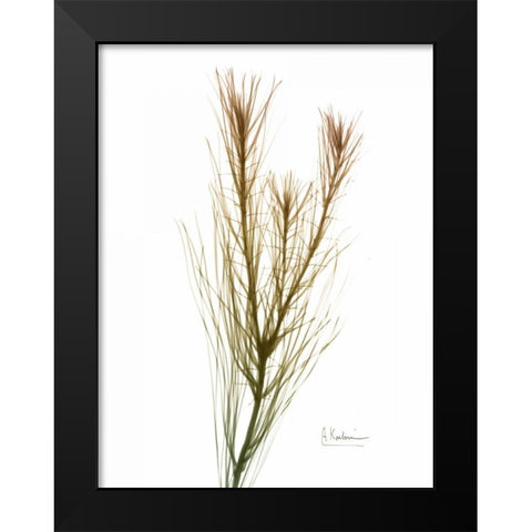 Autumn Botanical Black Modern Wood Framed Art Print by Koetsier, Albert