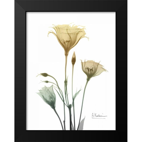 Ocre Bloom 1 Black Modern Wood Framed Art Print by Koetsier, Albert