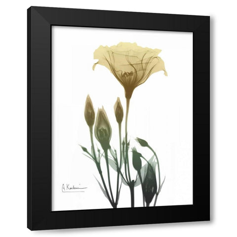 Ocre Bloom 2 Black Modern Wood Framed Art Print with Double Matting by Koetsier, Albert