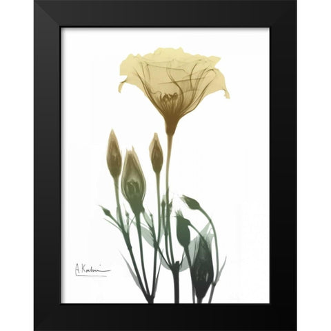 Ocre Bloom 2 Black Modern Wood Framed Art Print by Koetsier, Albert